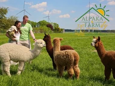 Ausflugsziel: Alpakafarmily