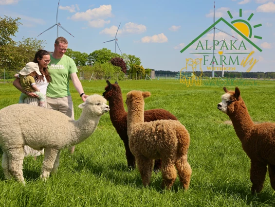 Ausflugsziel: Alpakafarmily