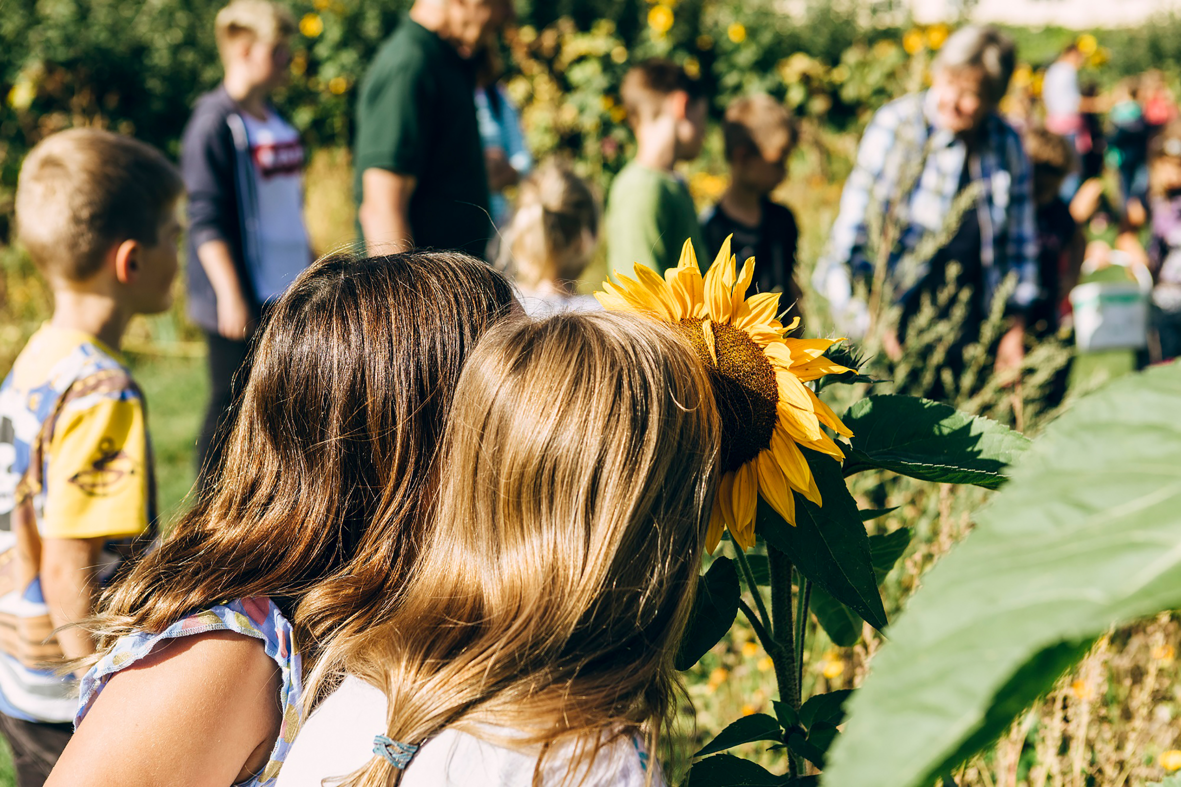 Ausflug mit Kindern - Chorin - Kultursommer auf Schloss & Gut Liebenberg