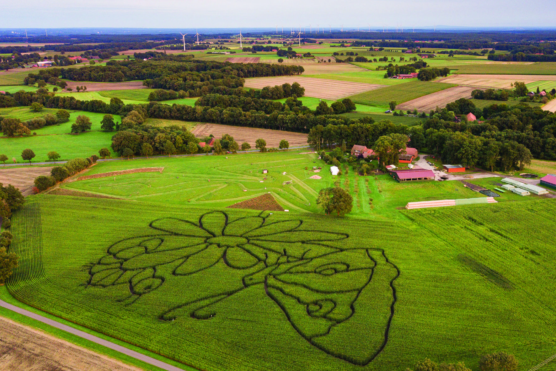 Ausflugsziel: Fußballgolf, Bauerngolf und Maislabyrinth Hof Claus GbR