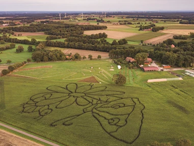 Ausflugsziel: Fußballgolf, Bauerngolf und Maislabyrinth Hof Claus GbR