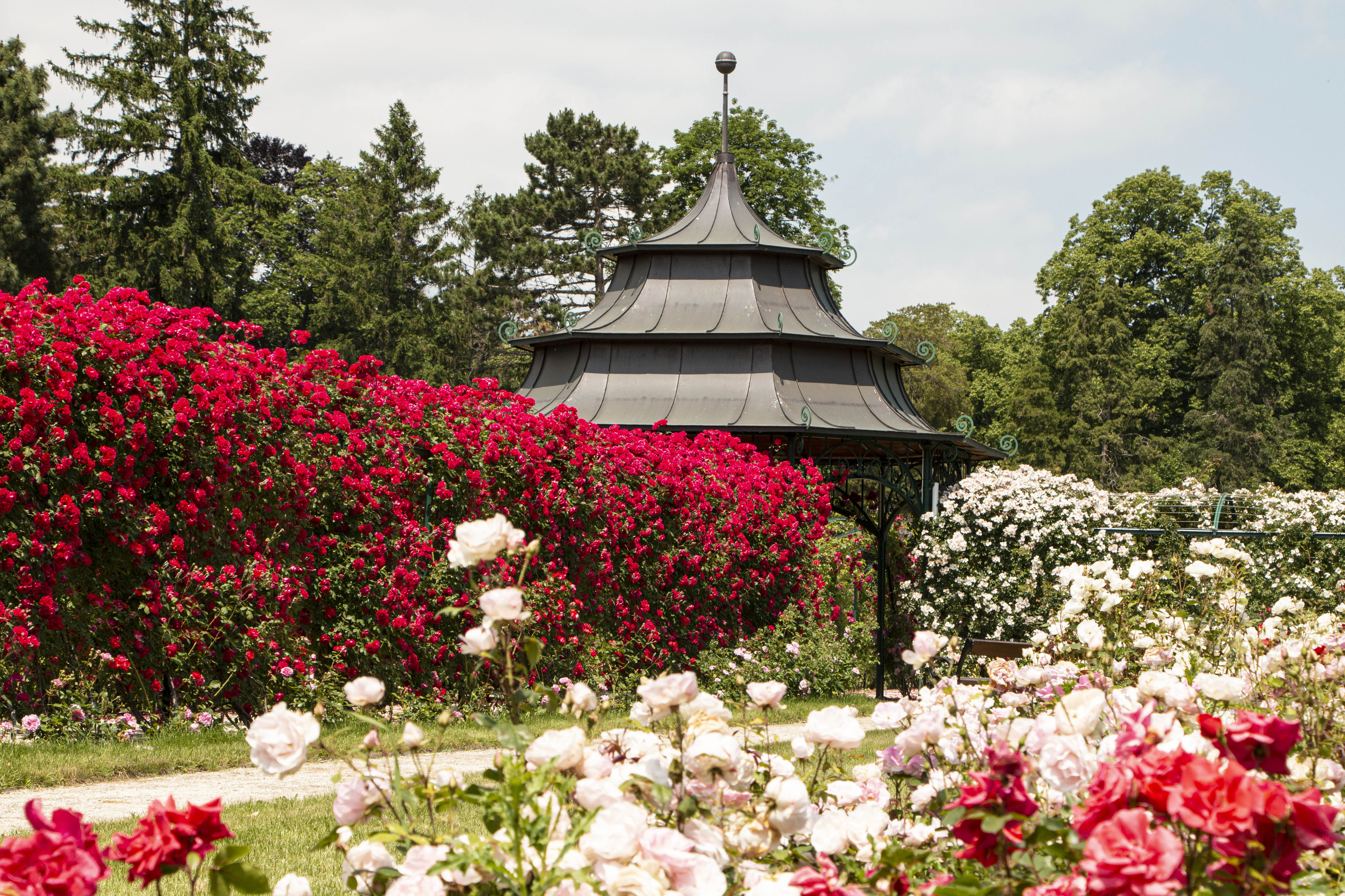 Voyage avec des enfants - Neusiedl am See - Esterházy-Schloss (Fertőd)