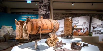 Reis met kinderen - Niedernsill - Felberturm Museum Mittersill