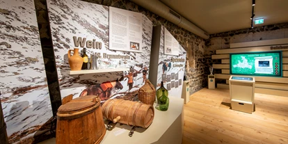 Reis met kinderen - Niedernsill - Felberturm Museum Mittersill