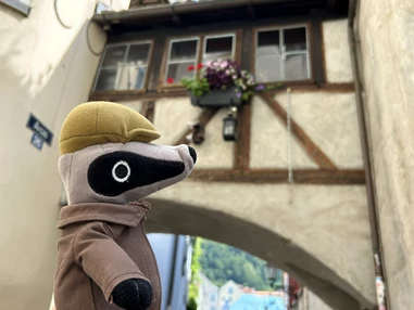 Ausflugsziel: Detektiv-Trail Chur