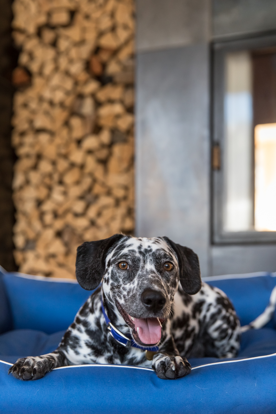Ausflugsziel: Falkensteiner Hotel Schladming