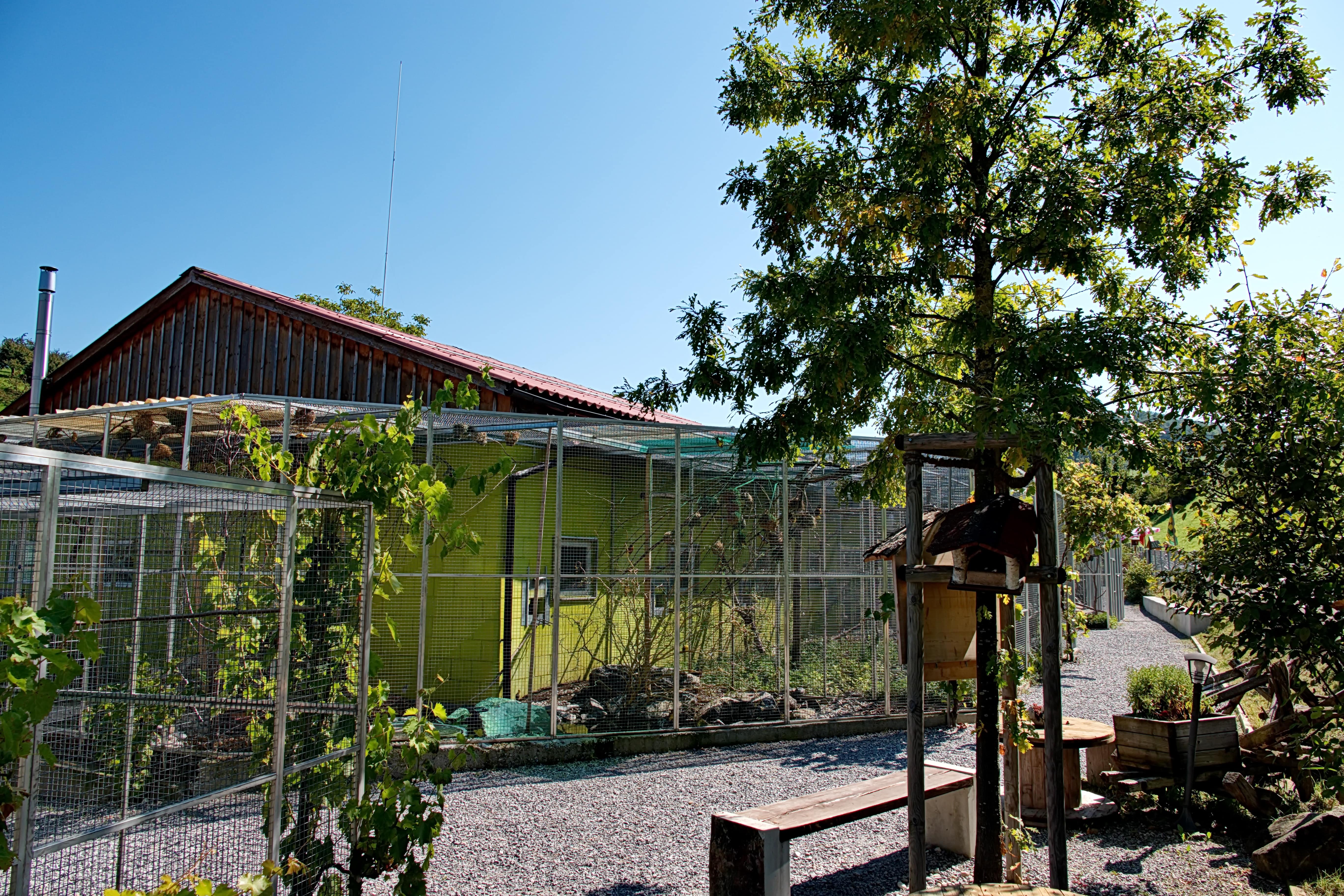 Ausflugsziel: Die PapageienWelt Vogelpark Ambigua