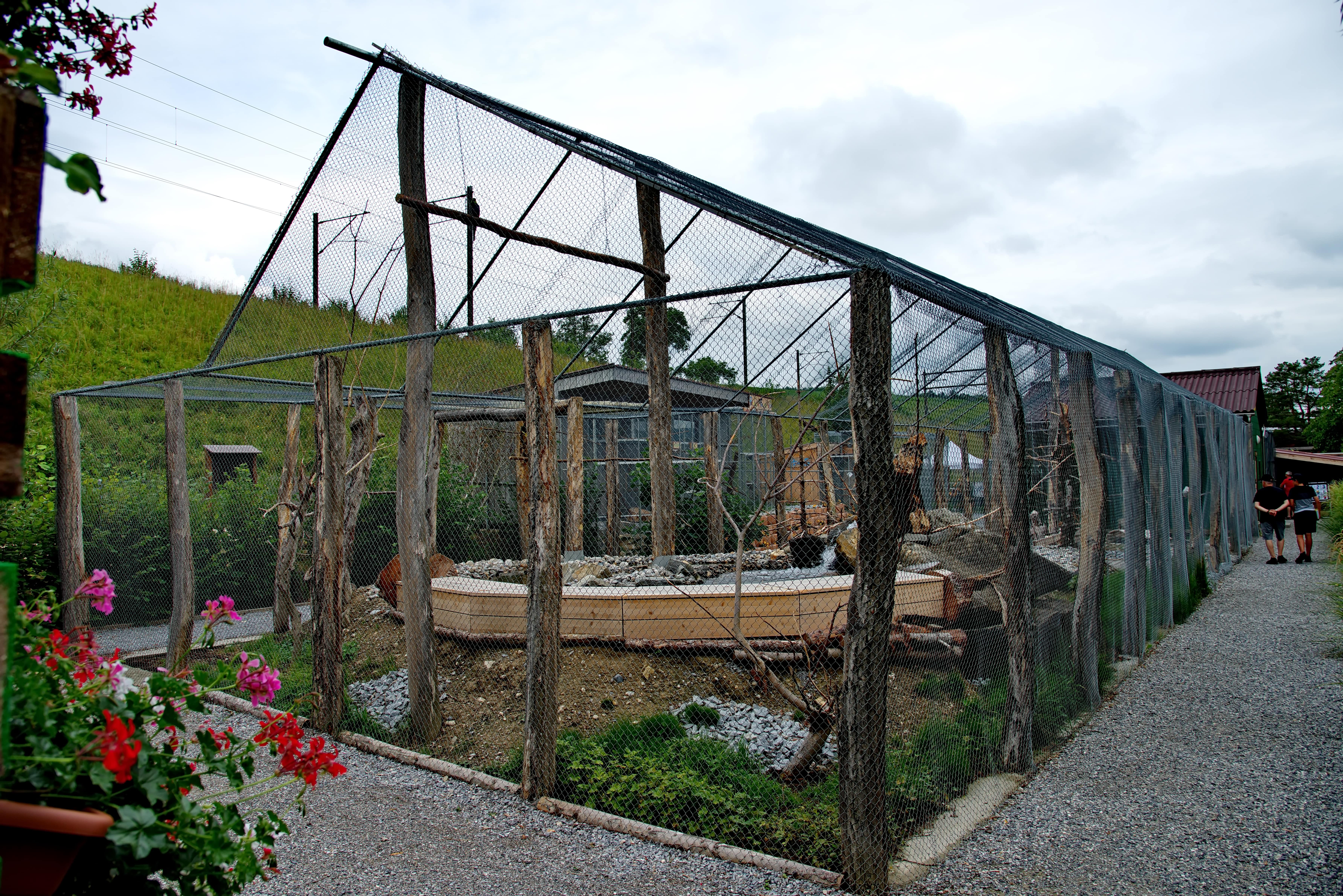 Ausflugsziel: Die PapageienWelt Vogelpark Ambigua