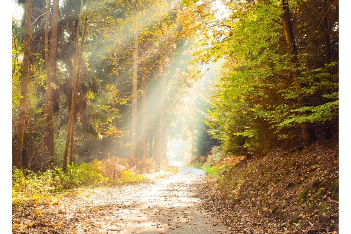 Ausflugsziel: Weg der Sinne