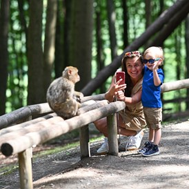 Ausflugsziel: Das perfekte Ausflugsziel für die ganze Familie - Affenberg Salem