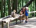Ausflugsziel: Das perfekte Ausflugsziel für die ganze Familie - Affenberg Salem