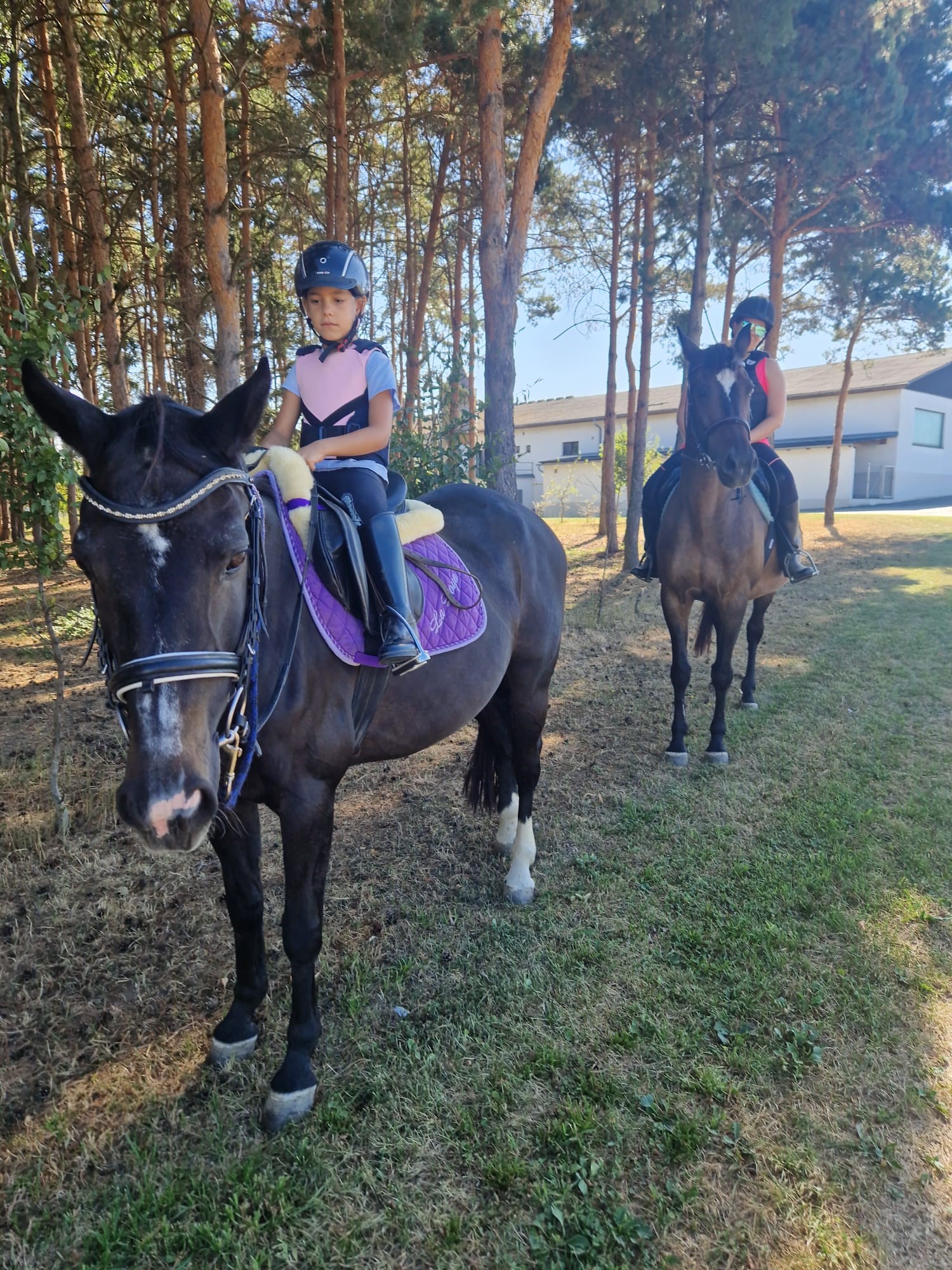 Reis met kinderen - Deutschkreutz - ErlebnisRanch Jobst 