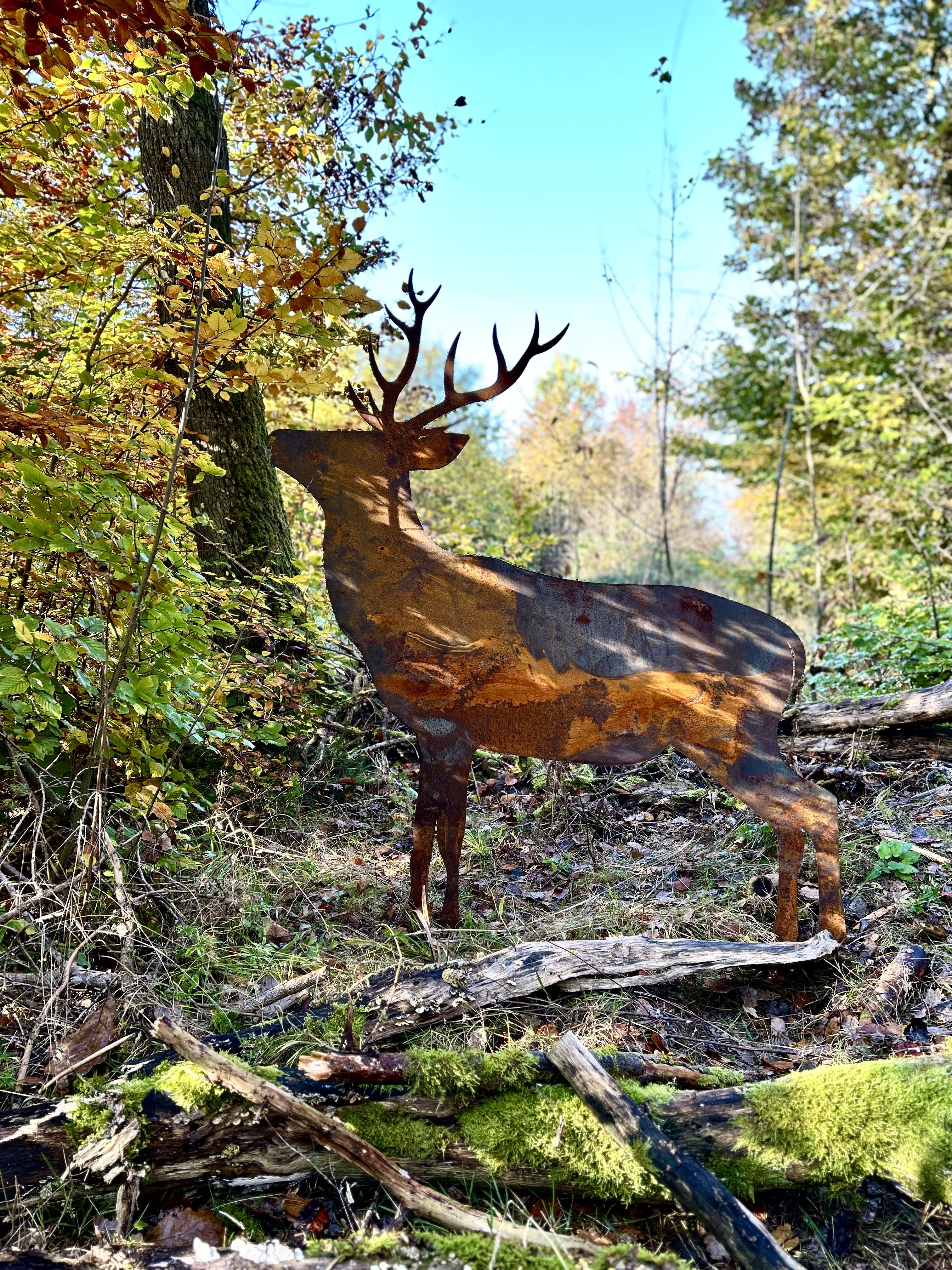 Ausflugsziel: Pirschpfad Gerterode