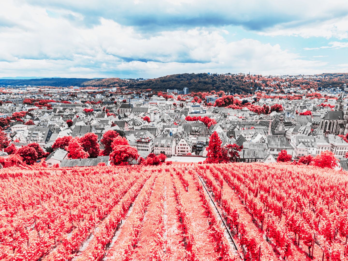 Ausflug mit Kindern - Salach (Göppingen) - Krimi-Trail Stuttgart: Vermisst in der Stuttgarter Weinszene