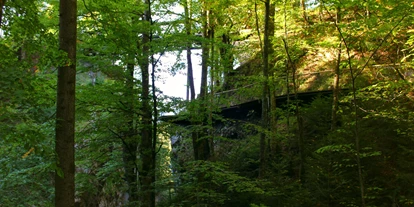 Voyage avec des enfants - Blons (Blons) - Rappenlochschlucht & Alplochschlucht