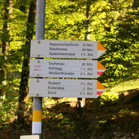 Ausflugsziel: Rappenlochschlucht & Alplochschlucht
