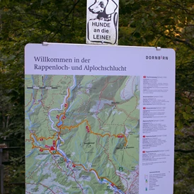 Ausflugsziel: Rappenlochschlucht & Alplochschlucht