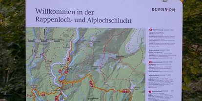 Voyage avec des enfants - Blons (Blons) - Rappenlochschlucht & Alplochschlucht