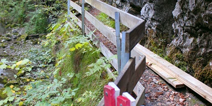 Voyage avec des enfants - Blons (Blons) - Ein neuer Weg führt nach dem Felssturz von 2011 überhalb der Schlucht - Rappenlochschlucht & Alplochschlucht