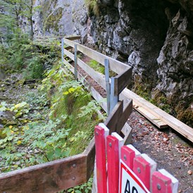 Ausflugsziel: Ein neuer Weg führt nach dem Felssturz von 2011 überhalb der Schlucht - Rappenlochschlucht & Alplochschlucht