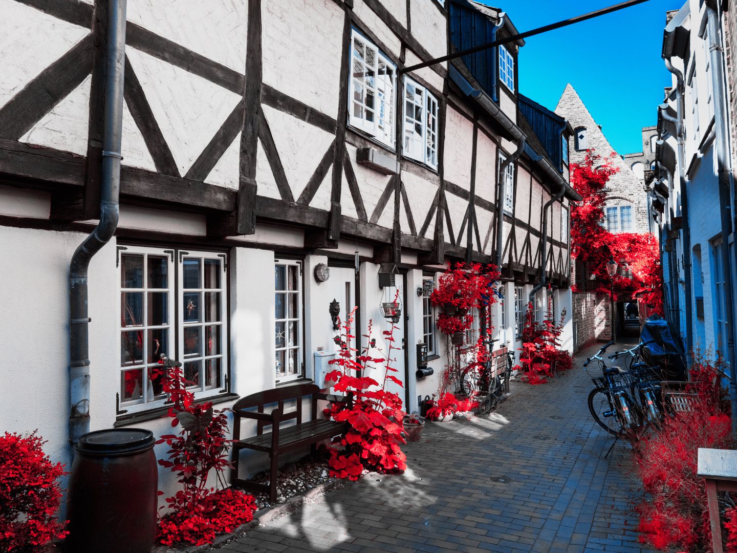 Viaggio con bambini - Hunde: willkommen - Krimi-Trail Lübeck: Raubüberfall auf das Casino