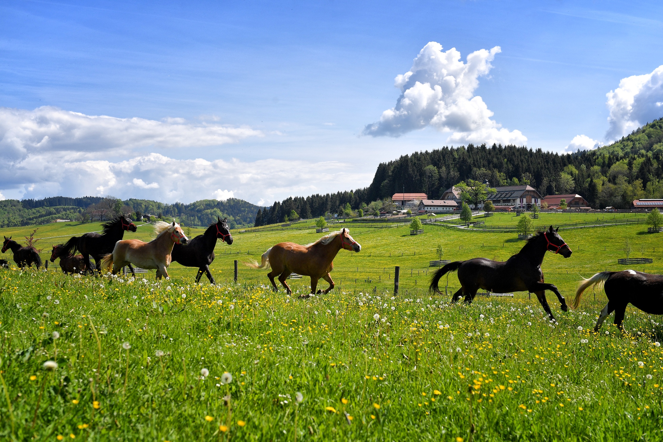 Ausflugsziel: Kugeln durch das Salzburger Seenland