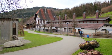 Ausflug mit Kindern - Themenschwerpunkt: Lernen - Lustenau - Sunnahof