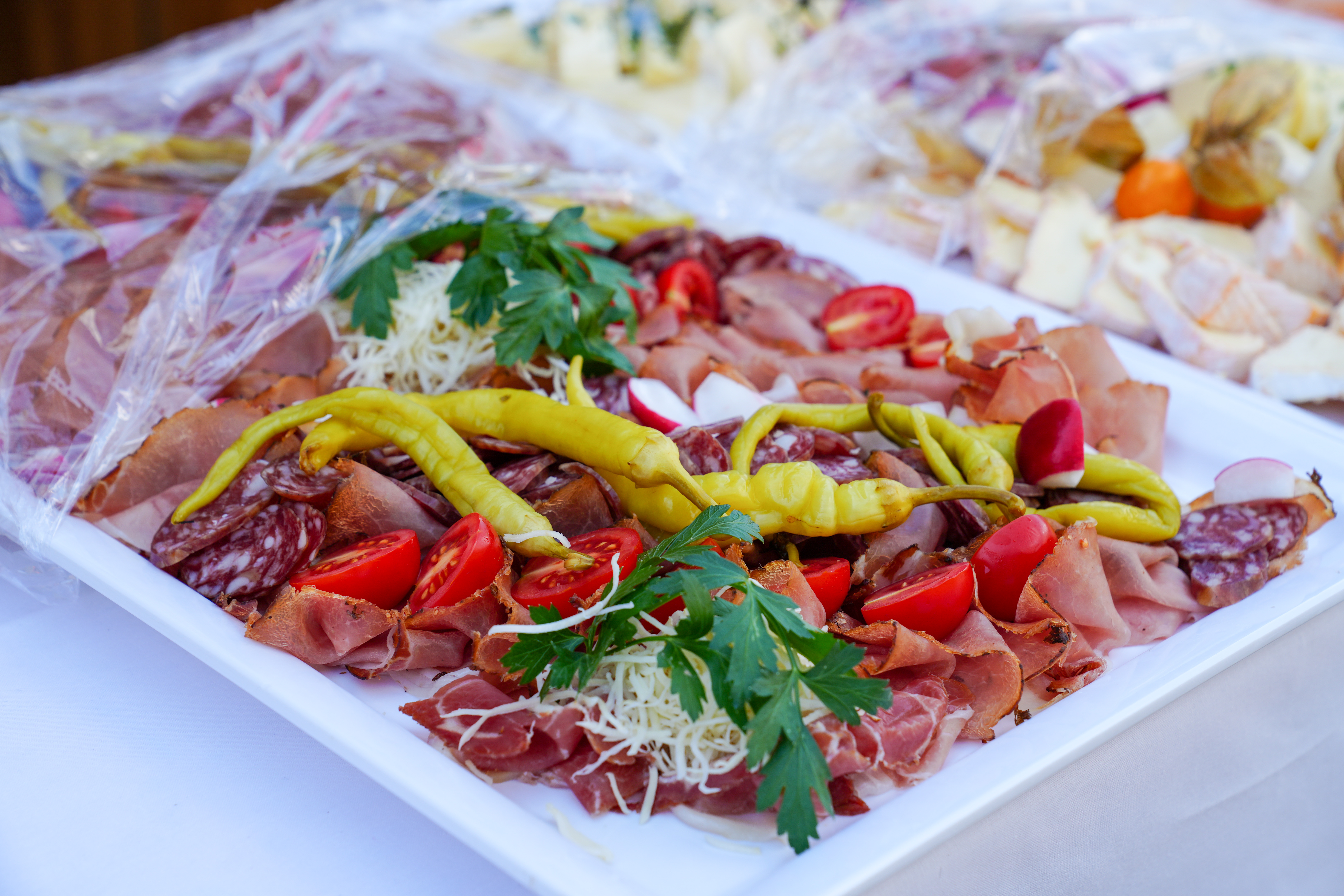 Ausflugsziel: Modellflugwoche Glocknerhof