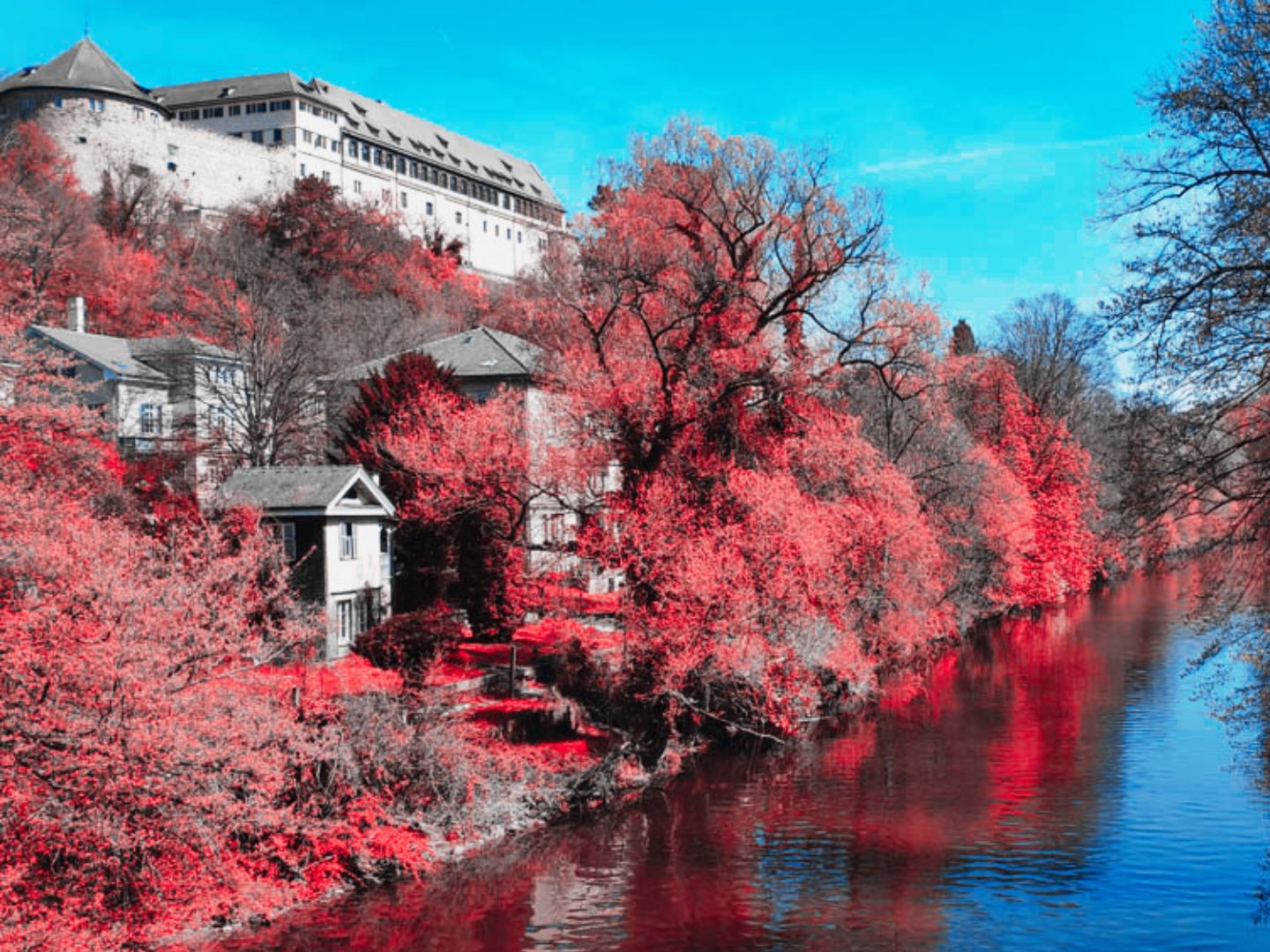 Ausflugsziel: Krimi-Trail Tübingen: Folgenschwere Erkenntnis