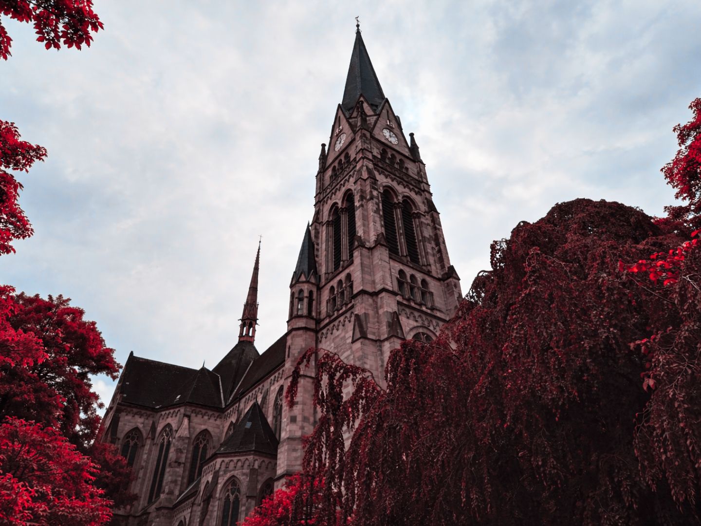 Ausflugsziel: Krimi-Trail Münster: Das Leben ist kurz