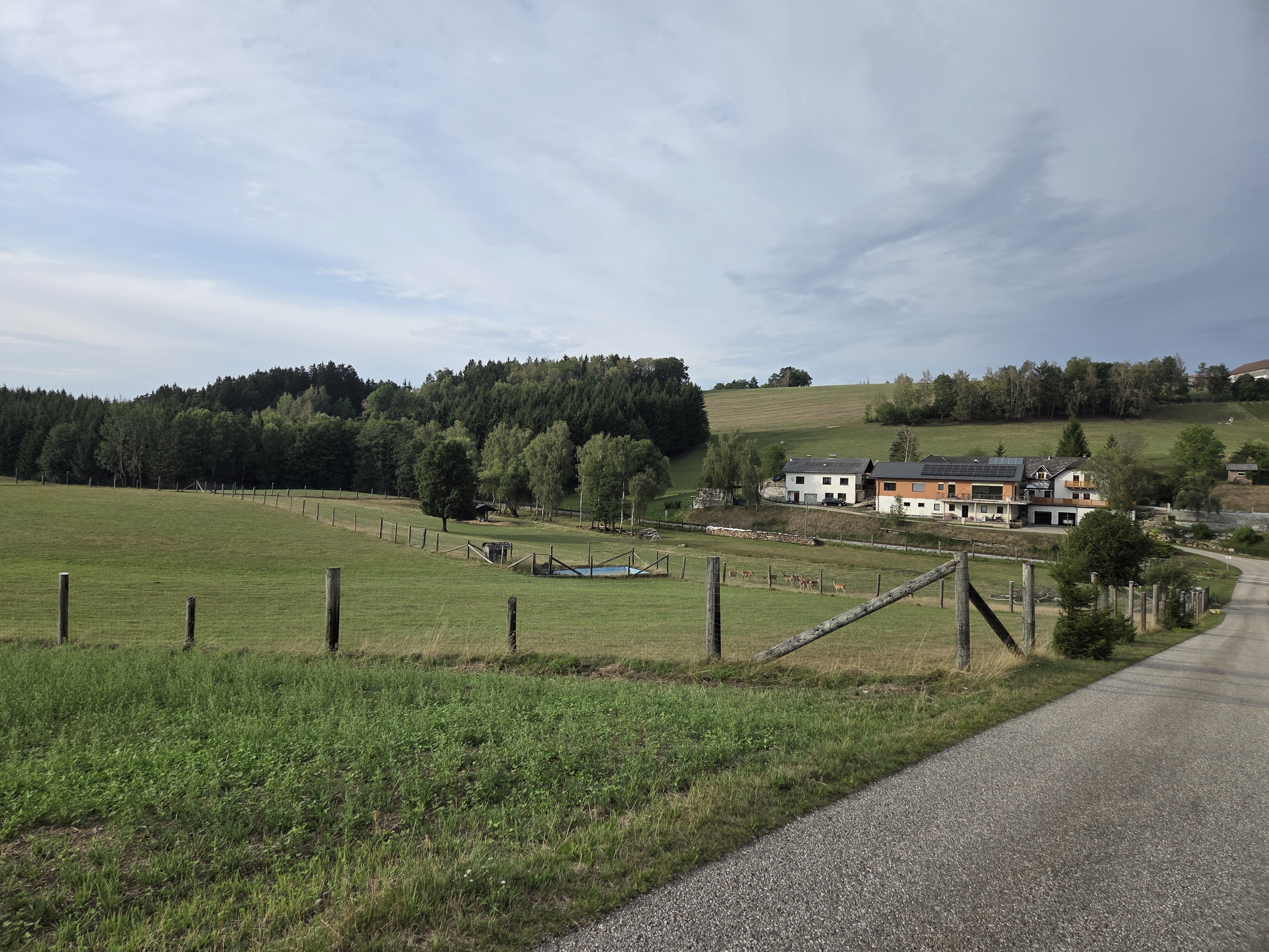 Ausflugsziel: Bei Ortsbesuch entpuppte sich der "Tierpark" nur als ein privates, nicht öffentlich zugängliches Hirschgatter. - Tierpark Neuhaus-Niederwaldkirchen