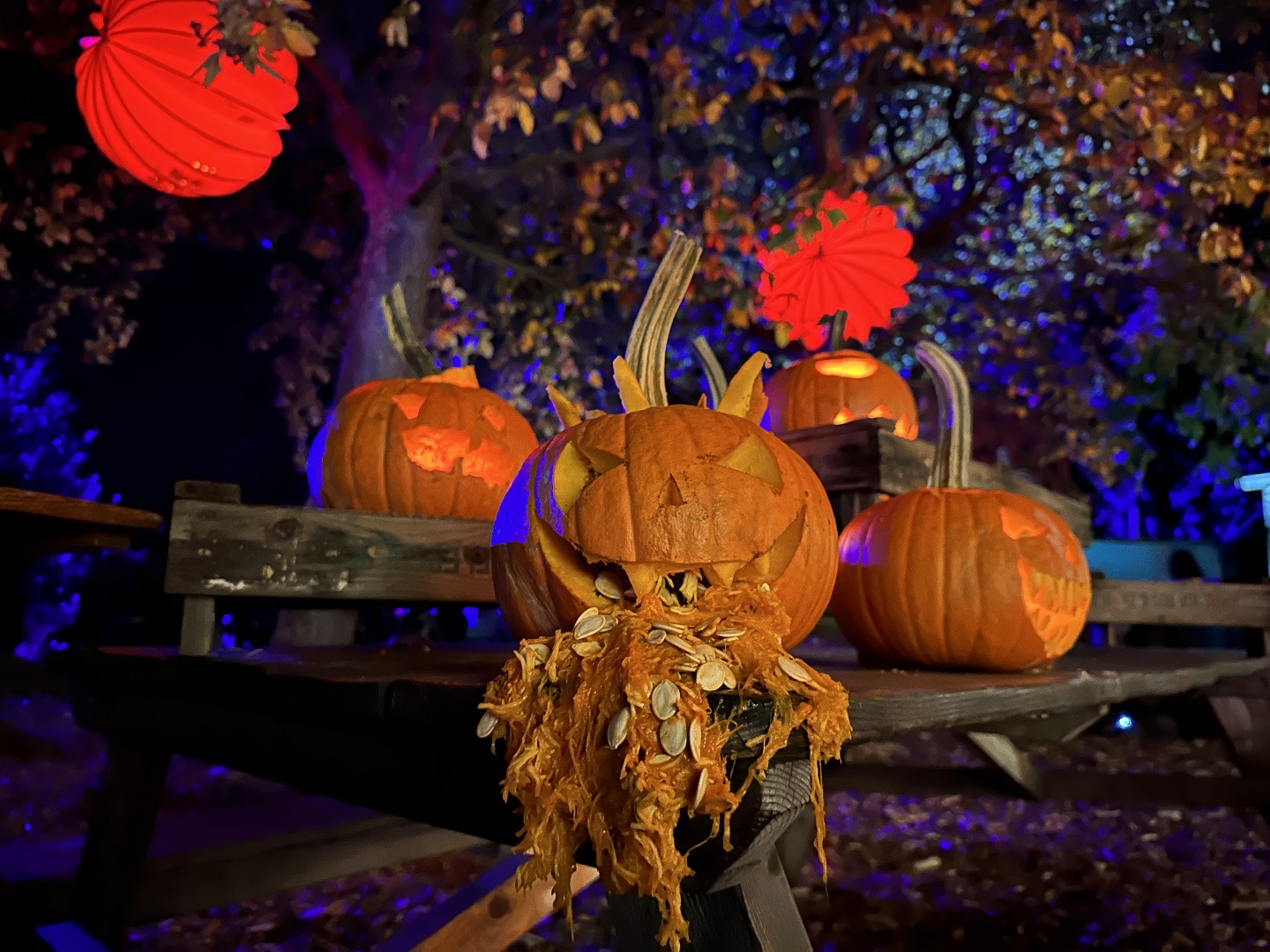 Voyage avec des enfants - Alter der Kinder: über 10 Jahre - Dresden - Gruselhausen – DAS Familien-Halloween-Event in Sachsen 