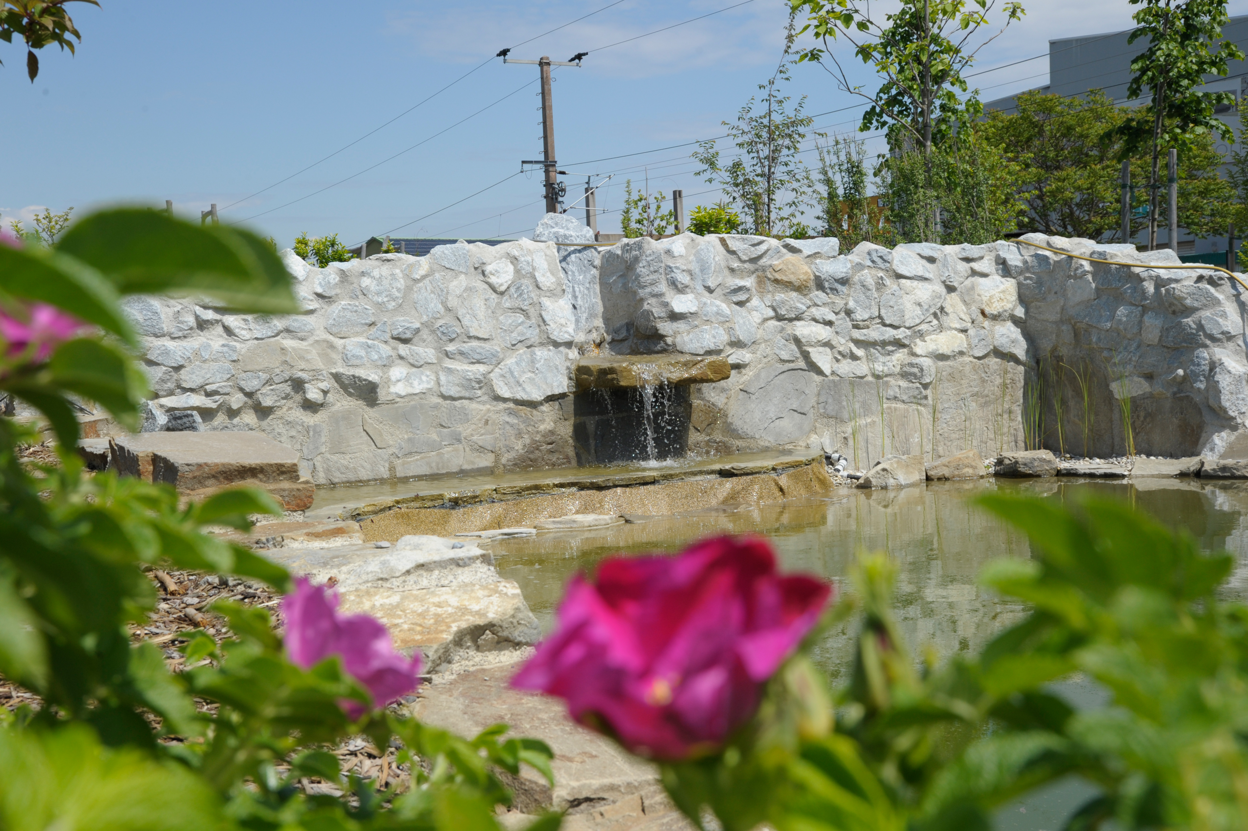 Trip with children - Rappoltenkirchen - STYX Gartenwelt
