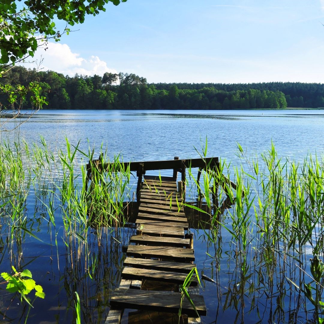 Ausflugsziel: Symbolbild für Ausflugsziel Naturbadesee Piburger See. Keine korrekte oder ähnliche Darstellung! - Naturbadesee Piburger See