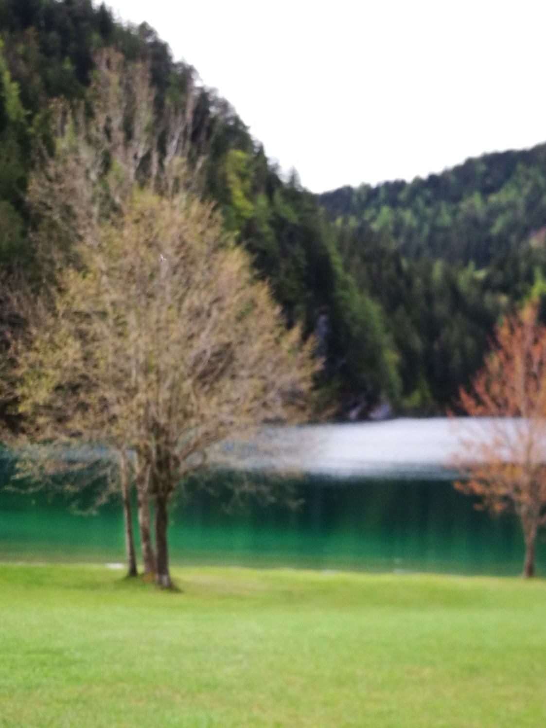 Ausflugsziel: Naturbadesee Hintersteiner See