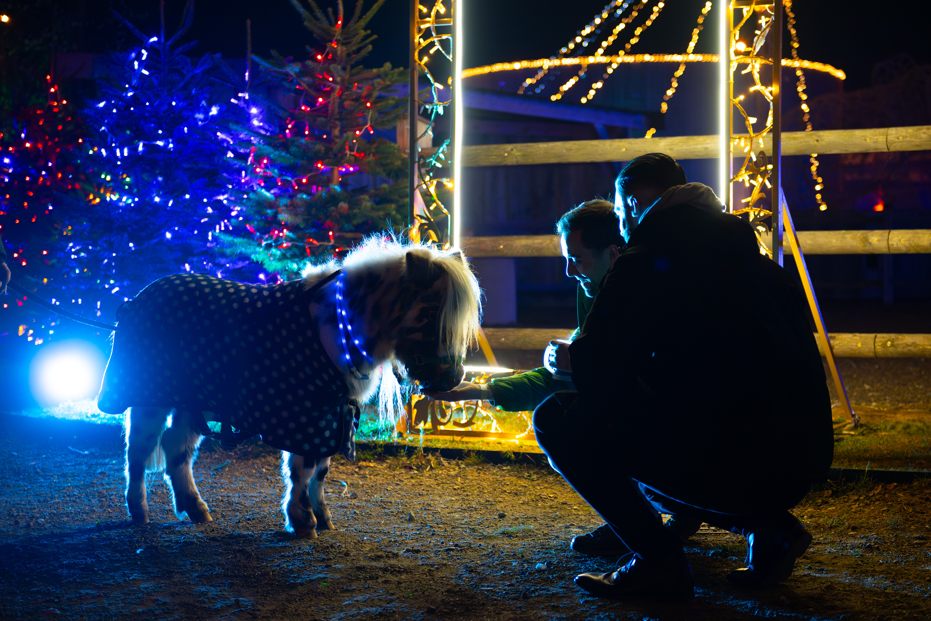 Ausflugsziel: LUMAGICA Lichterpark München
