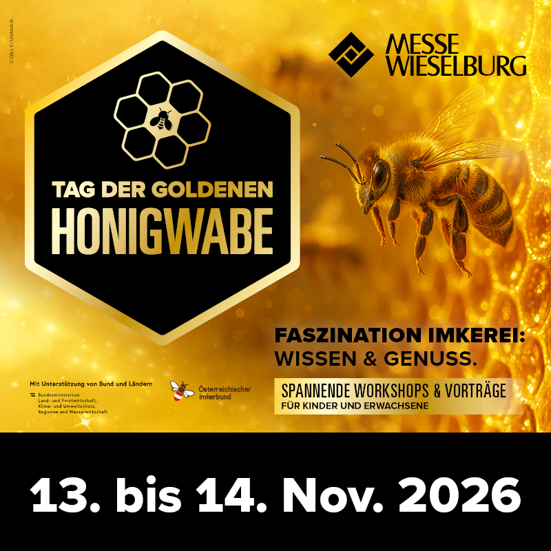 Trip with children - Schallaburg - TAG DER GOLDENEN HONIGWABE