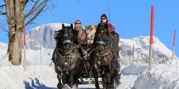Ausflug mit Kindern - Themenschwerpunkt: Pferde - PLZ 4831 (Österreich) - Pferdeschlittenfahrt in Schladming - Pferdeschlittenfahrt in Schladming