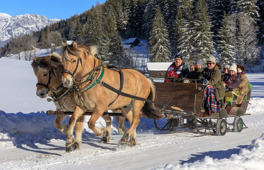 Ausflugsziel: Pferdeschlittenfahrt in Schladming - Pferdeschlittenfahrt in Schladming