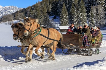 Ausflugsziel: Pferdeschlittenfahrt in Schladming - Pferdeschlittenfahrt in Schladming