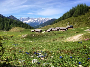 Ausflugsziel: Ursprungalm - Giglachsee