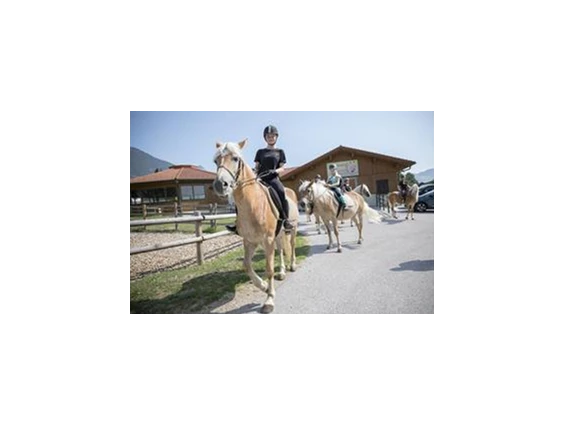 Ausflugsziel: Ponyreiten beim Hauserwirt in Münster