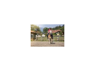 Ausflugsziel: Ponyreiten beim Hauserwirt in Münster