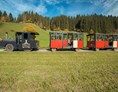 Ausflugsziel: Bummelzug in Kundl