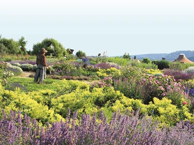 Ausflugsziel: ALB-GOLD Naturgarten mit Kräuter Markt