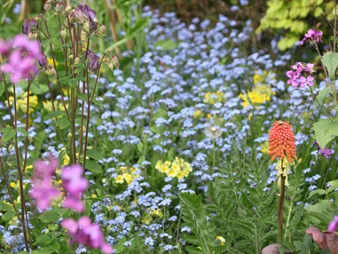 Ausflugsziel: Symbolbild für Ausflugsziel Bienengarten in Lahr-Reichenbach. Keine korrekte oder ähnlich Darstellung! - Bienengarten in Lahr-Reichenbach