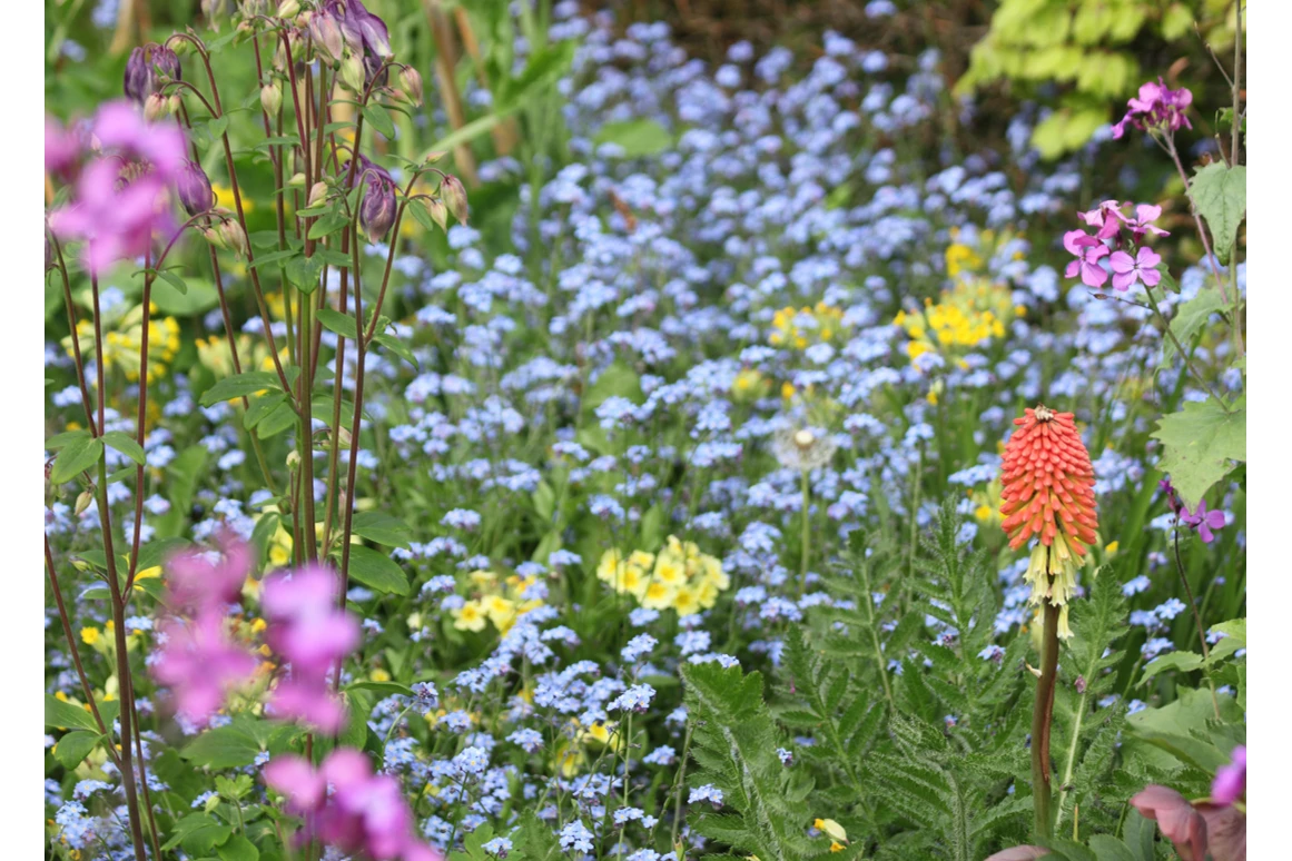 Ausflugsziel: Bienengarten in Lahr-Reichenbach