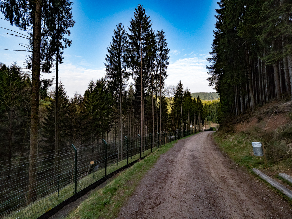 Ausflugsziel: Alternativer Wolf- und Bärenpark