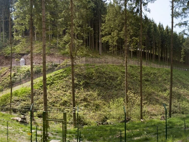 Ausflugsziel: Alternativer Wolf- und Bärenpark