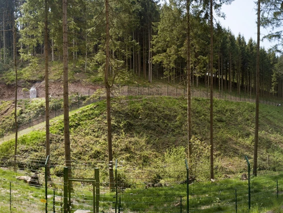 Ausflugsziel: Alternativer Wolf- und Bärenpark